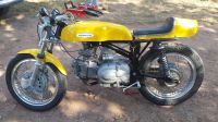 AERMACCHI ALA D‘ORO